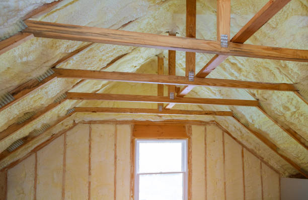Best Energy-efficient Insulation  in Norfolk, NE