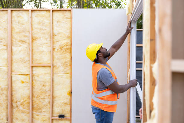 Best Best Insulation Companies  in Norfolk, NE