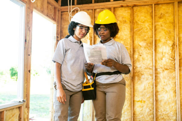 Best Insulation Removal  in Norfolk, NE