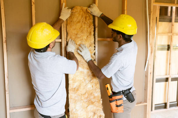 Best Crawl Space Insulation  in Norfolk, NE