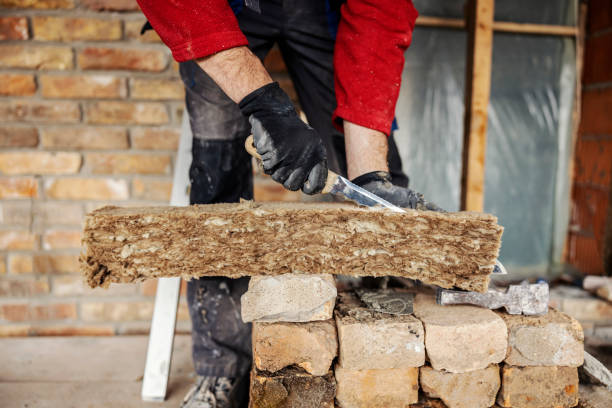 Best Insulation Inspection Services  in Norfolk, NE