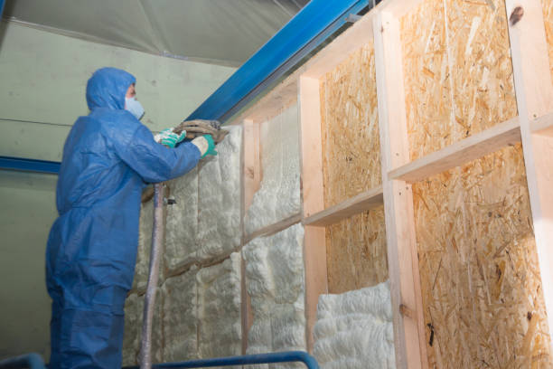 Best Residential Insulation Services  in Norfolk, NE